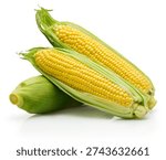Three ear of corn isolated on a white background