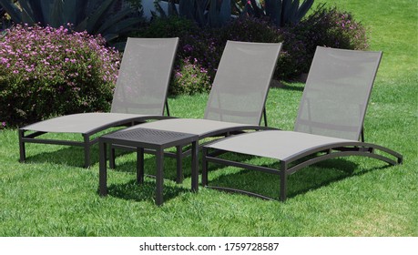 Three Empty Lounge Chairs And A Small Table In A Garden Setting Waiting Waiting For People To Relax On A Great Spring Day In California