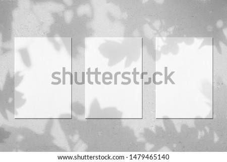 Similar – Image, Stock Photo Vertical portrait with soft background of young overweight girl with glasses dressed in striped shirt. Long, brown hair. Smile