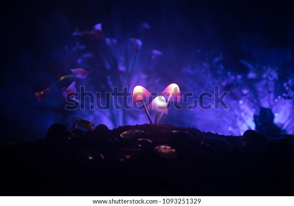 Three fantasy glowing mushrooms in mystery dark\
forest close-up. Beautiful macro shot of magic mushroom or three\
souls lost in avatar forest. Fairy lights on background with fog.\
Selective focus