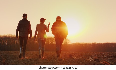 Three Farmers Go Ahead On A Plowed Field At Sunset. Young Team Of Farmers