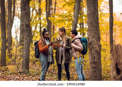 Three female friends enjoying hiking in forest on a beautiful autumn day.