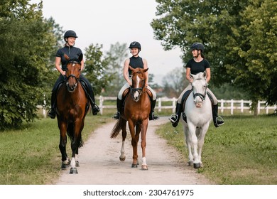 Three female riders riding horses along the trail. Recreation and leisure activity concepts. - Powered by Shutterstock