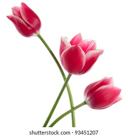 68,823 Magnificent Flower Images, Stock Photos & Vectors | Shutterstock