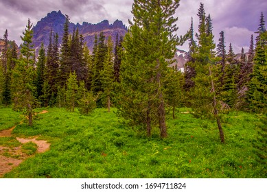 Three Fingered Jack In Mount Jefferson Wilderness