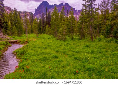 Three Fingered Jack In Mount Jefferson Wilderness