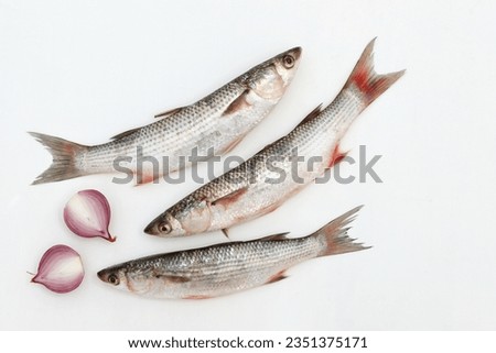 Three fish, on a white background, mullet, sea fish, seafood, free space, place for text, top view