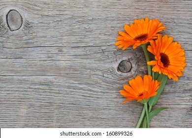 Three flowers of a calendula on an old wooden background