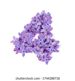 three of flowers. Composition on an isolated background. top view