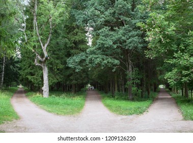 Three Forest Roads Converge Into One Or Diverge Point Of Three Ways. Gatchina, Russia