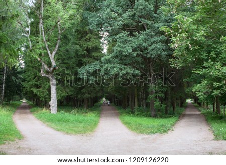 Three forest roads converge into one or diverge point of three ways. Gatchina, Russia