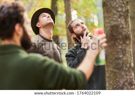 Three foresters selecting and marking trees for harvesting