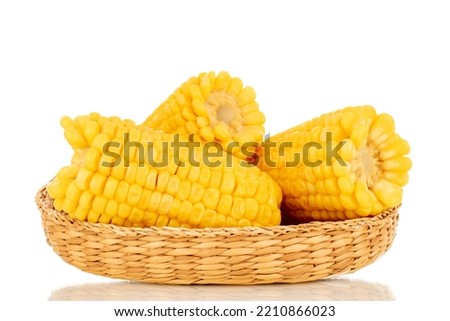 Three fragrant boiled corn on a straw plate, macro, isolated on white background.
