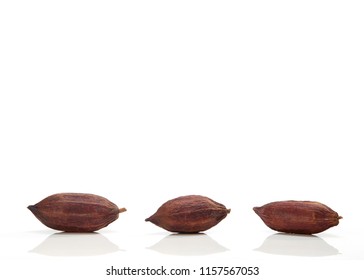 Three Fresh Cacao Pods Isolated On A White Background