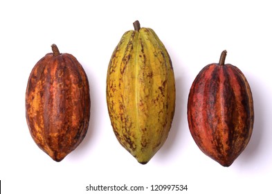 Three Fresh Cocoa Fruits, Isolated