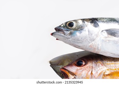 Three Fresh Fish Head Isolated On A White Background