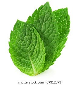 three fresh mint leaves isolated on white background. Studio macro - Shutterstock ID 89312893