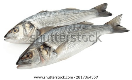 Three fresh raw cod steaks isolated on white transparent background.