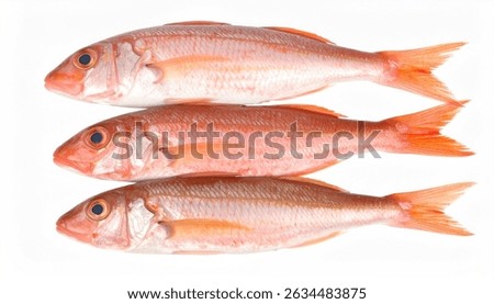 Three fresh red mullet fish arranged on a white background. Perfect for seafood, cooking, or healthy eating concepts.