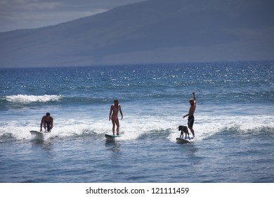 Three Friends And A Dog Surfing In Maui