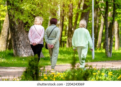 Three Girlfriends Walk Along A Path In The Park
