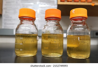 Three glass bottles with orange caps containing yellow liquid. Sterile LB broth for culturing bacteria. Colorful science. Laboratory reagents. - Shutterstock ID 2152749093