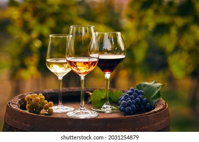 Three glasses of white, rosé and red wine and an old wooden barrel, with winery still life - Shutterstock ID 2031254879