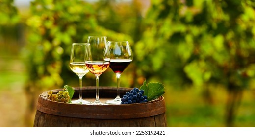 Three glasses of wine on a wooden barrel in the vineyard - Shutterstock ID 2253192421
