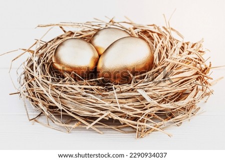 Three golden eggs in the nest on white background, copy space