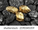 Three golden nuggets on black coals, top view. Pieces of gold among the coal.