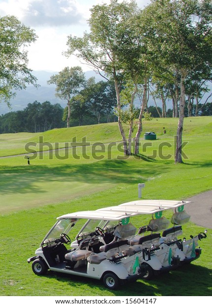 Three golf carts awaiting
customers