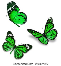 Three Green Butterfly, Isolated On White Background 