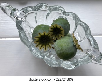 Three green poppy seed capsules lying in a small glass bowl on a white background