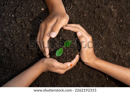 Similar – Foto Bild Hände halten eine wachsende Gurke im städtischen Garten. Urban Home Gartenarbeit Konzept, gesunde Ernährung