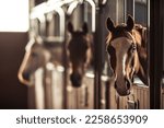 Three Happy Horses with Ears Forward Looking Out of Their Stalls in Beautiful Modern Stable. Equestrian Barn Life Theme.