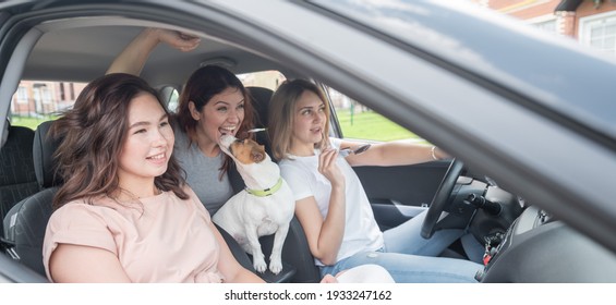 Three happy women travel the suburbs in a car with a dog. Cheerful girlfriends are going on vacation by car