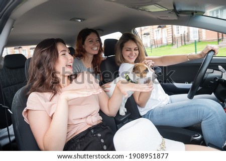 Three happy women travel the suburbs in a car with a dog. Cheerful girlfriends are going on vacation by car