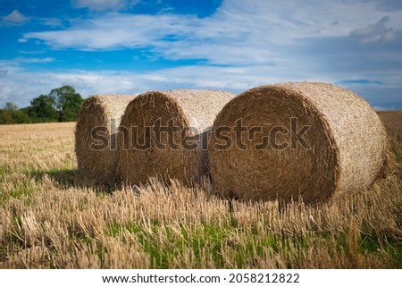 Three Hay Roles In A Field