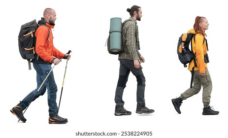 Three hikers with large backpacks and camping equipment walking in a row and using trekking poles isolated on a white background