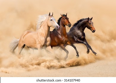 Three Horse Run In Desert Sand Storm