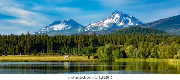 Three Horses Grazing In A Central Oregon Meadow Near Sisters With The Three Sisters Mountains In The Background