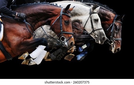 Three horses in jumping show, on black background isolated