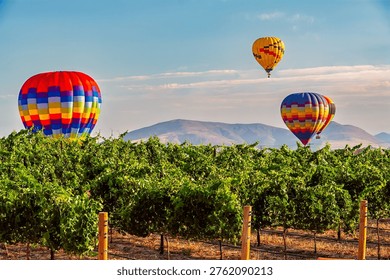 Three hot air balloons float over a vineyard with mountains in the background  in Temecula Wine Country, Southern California, USA..