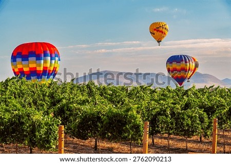 Three hot air balloons float over a vineyard with mountains in the background  in Temecula Wine Country, Southern California, USA..