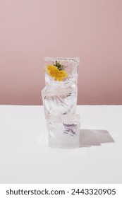 Three ice cubes layout in height with spring flowers on contrast background.