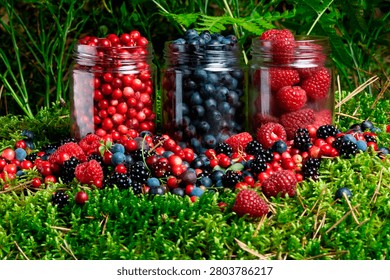 Three jars are full of berries placed on grass. The jars contain red berries, blueberries, and raspberries. Berries are scattered on the ground in a garden area. This scene shows a summer gathering.
