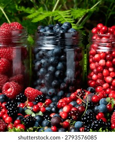 Three jars hold different types of berries. Raspberries, blueberries, and cranberries are seen inside the jars. More berries are scattered on the table and nearby plants.