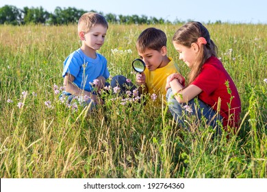 Three Kids Looking To Flower Through A Magnifying Glass, Outdoor