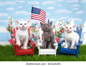 Three kittens sitting in wood chairs, red white and blue on green grass, white picket fence background with flowers, sky, flag waving in air. Patriotic baby felines