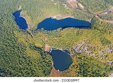 Three lakes surrounded by autumn forest from the air